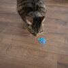 PetSnowy Snow+ Bag Clip Sniffing