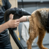 FohnGrip voor Trimsalons