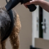 FohnGrip voor Trimsalons
